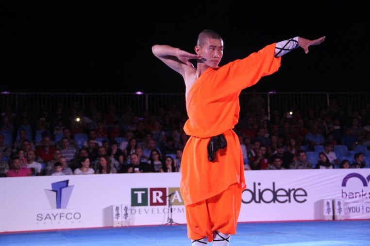 Martial Arts Festival